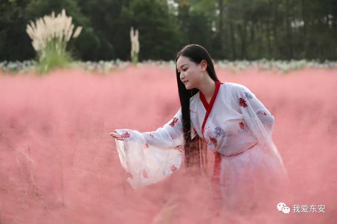 微信圖片_20190918083117.jpg
