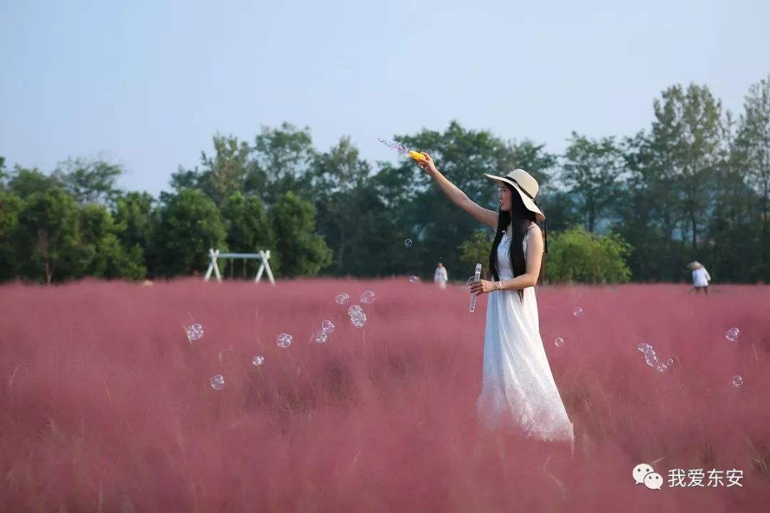 微信圖片_20190918083110.jpg
