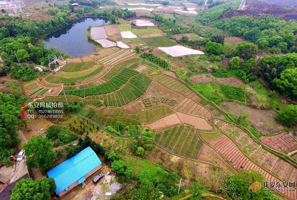 DJI_0012_副本.jpg