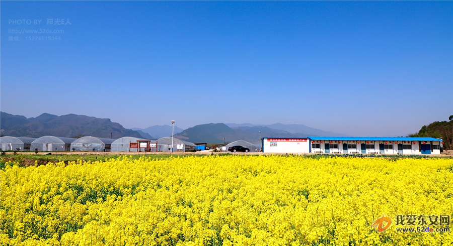 IMG_4727_副本.jpg