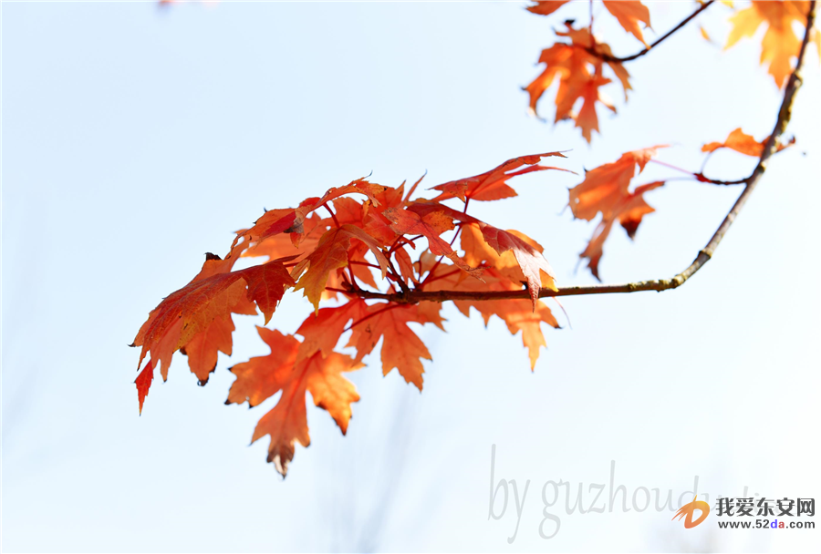 DSC_1708-1.jpg